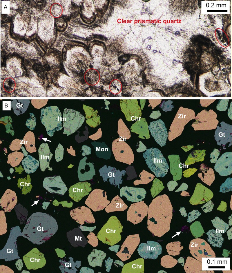 Figure 5 Heavy minerals from the Waimumu Stream mine. A, Thin-section view (plane polarised light) of a clast (from sample OU85058) consisting of prismatic quartz containing inclusions of dusty rutile (circled) and rare pyrite. Dark seams rich in fluid inclusions define zoning in the quartz crystals. B, Scanning electron microscope image of a polished section of heavy mineral sand concentrate (OU85059), with false-colour overlays reflecting differing elemental compositions. Principal minerals are zircon (Zir), chromite (Chr), garnet (Gt) and ilmenite (Ilm), with small fragments of Mn oxides (purple; indicated with white arrows).