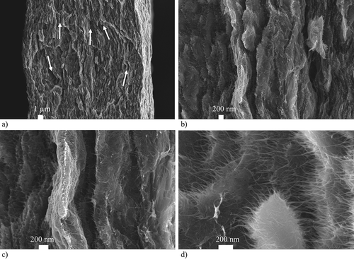 Figure 4. SEM pictures of an analyzed CNT paper: (a) Cross-section view of a broken CNT paper revealing a layer-like morphology (b) Detailed view of the cross-section showing a larger number of small cracks and delaminations between different layers of the paper (c) High resolution view of the interlinking SWCNTs between the separated layers of the paper (d) Top view of the fold line of a broken CNT paper.