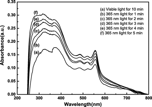 Figure 8. UV–vis spectra of SiO2-g-P(SPMA-co-MAA) in THF under different light conditions.