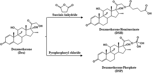 Figure 1 Synthetic schematic diagram of DSH and DSP.