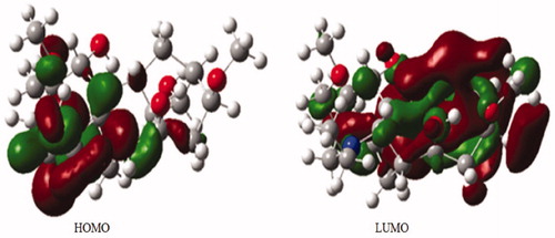 Figure 2. HOMO-LUMO of compound 1 calculated at B3LYP/6-31 + G (p).