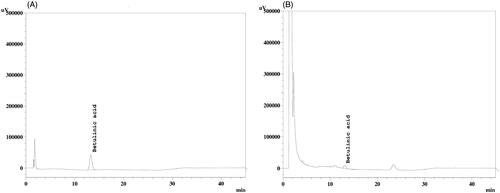 Figure 1. HPLC of APME. The HPLC chromatogram of betulinic acid (standard) (A) and in APME solution (B).