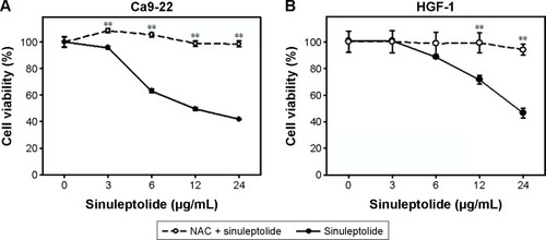 Figure 1 NAC effect on cell viabilities of sinuleptolide-treated oral cancer and normal cells.