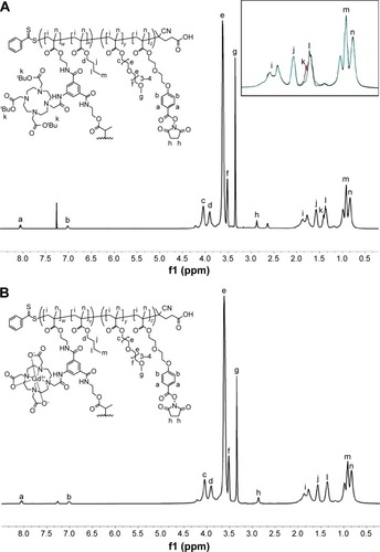 Figure 3 Proton NMR spectra of branched copolymer nanoparticles.Notes: (A) 1H NMR (CDCl3) spectrum of N2(tBu) and evidence of tBu deprotection (A inset) before deprotection of N2(tBu) (red line) and after deprotection of N2 (green line); (B) 1H NMR (CDCl3) spectrum of branched copolymer N2(Gd). a, b: aromatic proton; c, d, e, f, h, i, j, k, l: methylene proton; g, m: n-methyl proton.Abbreviation: NMR, nuclear magnetic resonance.