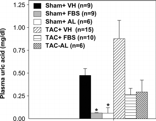 FIGURE 1 Effect of 3-week febuxostat (FBS) or allopurinol (AL) treatment on plasma UA. Treatment was started 7 days following sham or TAC procedures and continued for 3 weeks. *p < 0.05 as compared with the corresponding sham group. VH = vehicle. TAC = transverse aortic constriction.