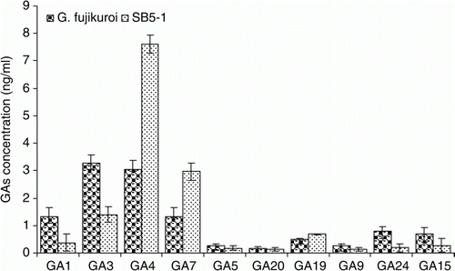 Figure 2.  Production of various GAs by SB5-1 and G. fujikuroi. Of the four bioactive GAs, GA4 and GA7 were produced in higher amounts by SB5-1 compared to G. fujikuroi. Error bars show standard deviations.
