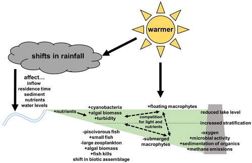 Figure 1. Climate warming impacts to reservoirs may include higher water temperatures and shifts in precipitation and hydrology that can result in altered physicochemical characteristics leading to changes in biological assemblages.