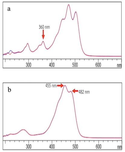 Figure 3. The absorption spectrum of x-cis lycopene (a) and all trans lycopene (b).