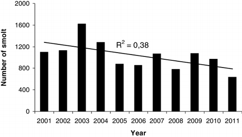 Figure 3. Number of anadromous brown trout smolt captured by the Wolff trap in the River Guddalselva in the years 2001–2011.