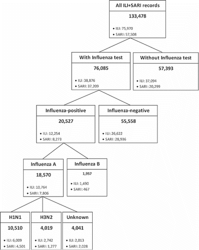 Figure 1. Classification of the population by influenza diagnosis and by ILI and SARI episodes, 2010–2013. Acronyms: ILI, influenza-like illness; SARI, severe acute respiratory infection.