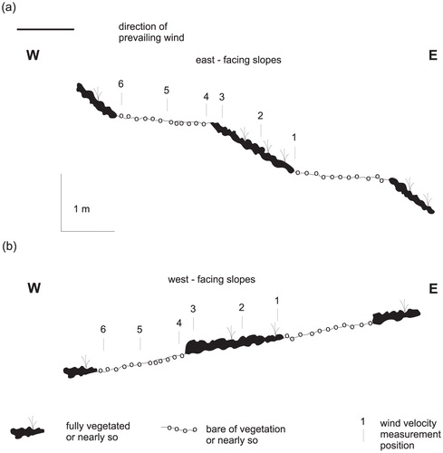 FIGURE 3. Wind velocity measurement positions on terraces on (a) east-facing and (b) west-facing slopes.