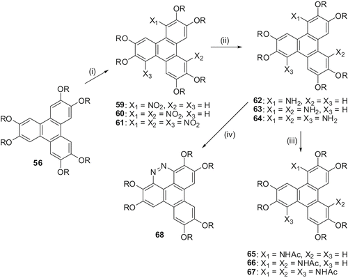 Scheme 15. Synthesis of nitrotriphenylenes and their derivatives: (i) HNO3/CH3NO2; (ii) NH2NH2/Pd or NiCl2/NaBH4; (iii) Ac2O/Py.