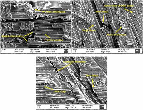 Figure 10. SEM images of fatigue failure surface, (a) 0.8, (b) 0.7 and (c) 0.6 stress level.