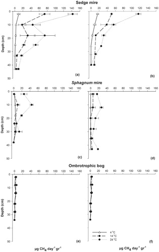 FIGURE 5. Methane production rates in incubated peat from different depths in the sedge mire [(a) August, (b) September], Sphagnum mire [(c) August, (d) September], and ombrotrophic bog [(e) August, (f) September]. Error bars represent the standard deviation of analyses conducted in triplicate.