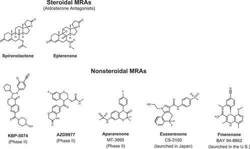 Figure 4. A figure illustrating differences in chemical structure between steroidal MRAs (spironolactone and eplerenone) and five nonsteroidal MRAs currently undergoing clinical development [Citation37]. Figure (by Kintscher, Bakris, and Kolkhof) reused under the terms of the Creative Commons Attribution 4.0 International (CC BY 4.0) license.