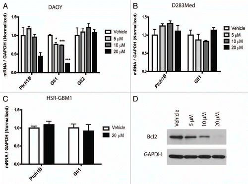 Figure 4 The Hh pathway is downregulated after curcumin treatment. Transcript levels of Hh pathway targets (Gli1 and Ptch1B) are reduced following treatment with nanocurcumin in DAOY (A) cells, but not in D283Med (B) or HSR-GBM1 (C). Protein levels of Bcl2 are downregulated following nanocurcumin treatment in DAOY cells (D). *p < 0.05, ***p < 0.001 compared to vehicle.