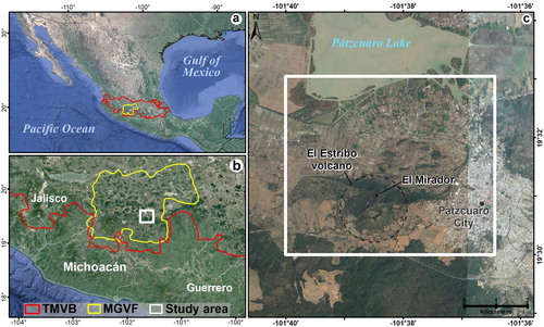 Figure 2. (a) Location of the study area within the Trans-Mexican Volcanic Belt (TMVB), (b) the Michoacán-Guanajuato Volcanic Field (MGVF), (c) Location of the study area to the south of Pátzcuaro Lake. TMVB limits were taken from CitationFerrari et al. (2012) and MGVF from CitationMazzarini et al. (2010). White thin lines indicate state boundaries.