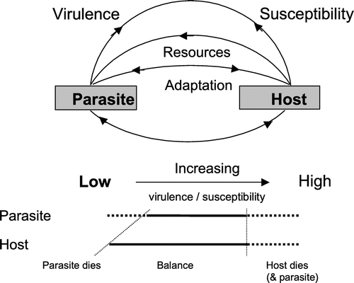 Figure 3. Schematic of parasite-host interaction. The diagram shows how a balance (or tolerance) can arise due to variability in parasite virulence and host susceptibility (from McMullan, Citation2012). The initial infestation of colonies by varroa mites will typically start on the right with colonies dying due to high mite virulence and low honey bee resistance (high susceptibility). Over time, in untreated colonies, reducing mite virulence and increasing honey bee resistance will be selected resulting in a balanced relationship.