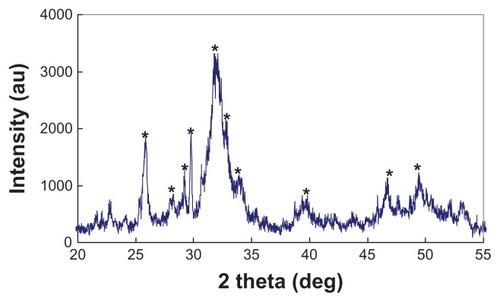 Figure 2 X-ray diffraction pattern of nano calcium-deficient apatite.Note: *apatite peaks.