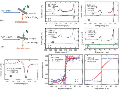 Figure 2. Schematic diagram of the experimental geometry of MCD-HAXPES measurements at TOA = 60° (a) and 85° (b). The magnetic field at the sample surface is 1 kOe (0.1 T) and is perpendicular to the sample surface in both cases. The Fe 2p core-level MCD-HAXPES spectra of the MgO (2 nm)/Fe (1.5 nm)/MgO(001) structure measured at TOA = 60 and 85° are shown in (c) and (d), respectively. The MCD-HAXPES spectra of the MgO (2 nm)/Fe (20 nm)/MgO structure measured at TOA = 60 and 85° are shown in (e) and (f), respectively. (g) Comparison of the MCD spectra for MgO (2 nm)/Fe (1.5 and 20 nm)/MgO structures measured at TOA = 60°. The hysteresis curves of MgO (2 nm)/Fe (1.5 and 20 nm)/MgO structure are shown in (h) and (i), respectively. Thick solid lines are to guide the eye. For the hysteresis curve measurements (h), the magnetic field step was set to 50, 200, and 1000 Oe in the range of 0–0.4, 0.4–5, and 5–30 kOe, respectively. For the in-plane hysteresis curve measurement (i), the field step was set to 200, 1000, and 5000 Oe in the range of 0–1, 1–10, and 10–50 kOe, respectively, while for the out-of-plane hysteresis curve measurement (i), the field step was set to 100, 500, 1000, and 5000 Oe in the range of 0–2, 2–10, 10–15 and 15–50 kOe, respectively.