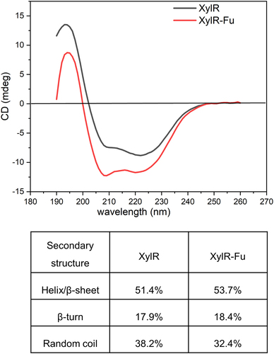 Figure 4. Secondary structural analysis of XylR and XylR-Fu by far-UV CD spectra and their secondary structure contents calculated by CDNN software.