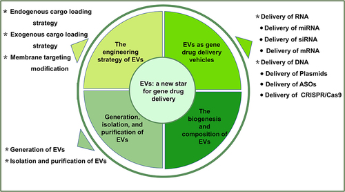 Figure 1 The main topics of this review. The main topics include the biogenesis and composition of EVs, generation, isolation and purification of EVs, the engineering strategy of EVs, EVs as drug delivery vehicles in gene therapy.