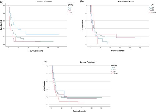 Figure 5. ECOG predicts survival of AML patients treated with induction chemotherapy without subsequent allogenic stem cell transplantation. (A) In AML patients treated with induction chemotherapy that did not receive consolidation therapy with allogenic stem cell transplantation, ECOG score at baseline predicted outcome with patients with an initial ECOG core of 0 showed significantly better median overall survival than those with higher scores. As opposed to this observation, not correlation with OS was found for (B) CCI or (C) HCT-CI scores, respectively.