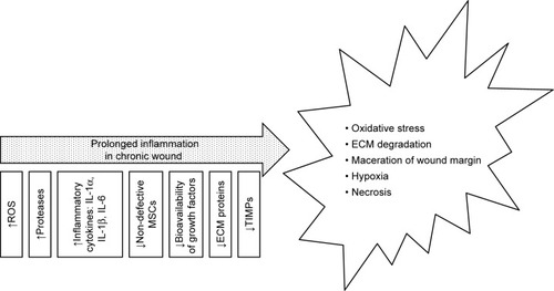 Figure 2 Causes and effects of chronic wounds.Abbreviations: ECM, extracellular matrix; TIMP, tissue inhibitor of metalloproteinase.