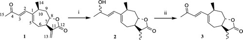 Scheme 1 Synthesis in the α-methyl-γ-lactone series: compound 3. Reagents: (i) NaBH4, MeOH; (ii) DDQ, Toluene.