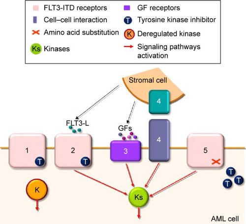 Figure 2 Overview of the resistance mechanisms to FLT3 TKI in AML.