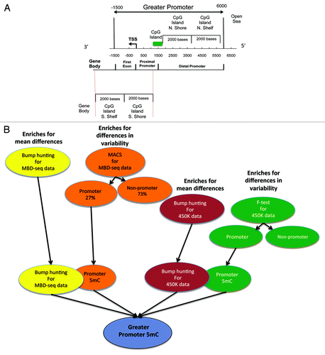 Figure 2. (A) Illustration defining the Greater Promoter region. Using a functional genomic distribution viewpoint we define five CpG genomic locations in relation to their distance to the Transcription Start Site: Proximal promoter, distal promoter, first exon, gene body and intergenic locations. From a CpG content and neighborhood context viewpoint we define four CpG genomic locations in relation to their distance to the nearest CpG Island: CpG Island, CpG Island Shore, CpG Island Shelf, Open Sea and Gene Body. The Greater promoter window is fixed in relation to the TSS. Therefore, the location of CpG Islands will influence the number of significant sequencing reads and 450K probes per gene that are included in our analysis; (B) Workflow for identification of differential methylation in the greater promoter of HNSCC, using next-generation MBD-sequencing and 450K methylation platforms. Schematic description of the analytic pipeline developed to unveil the HNSCC methylome. This pipeline enriches for mean genome-wide differences in CpG methylation as also for genome-wide differences in CpG methylation variability at each chromosomal location, for both, methylation sequencing and methylation 450K array data.