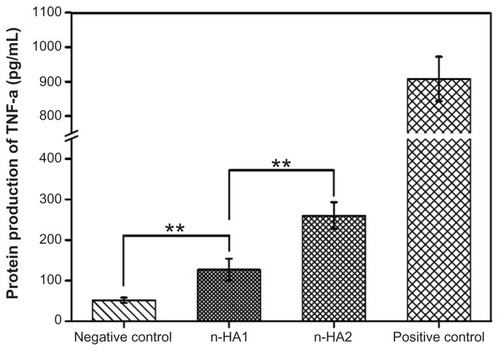 Figure 10 TNF-α protein production by the human macrophage U937 exposed to nanohydroxyapatite over 18 hours.Notes: Data are presented as the mean ± standard deviation of three separate experiments (n = 3). **P < 0.01.Abbreviations: TNF-α, tumor necrosis factor alpha; n-HA, nanohydroxyapatite.