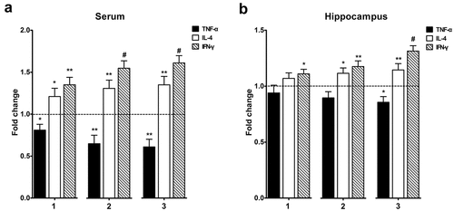 Figure 5. Alteration of the cytokines levels in the hippocampus and serum following Bacillus Calmette – Guerin (BCG) treatment. The normalized and analyzed levels of TNF-α, IL-4, and IFN-γ in serum (a) and hippocampus (b); 1, 2, and 3 represents APP/PS1 mice injected with BCG once, twice, and three times, respectively. In serum, BCG vaccination up-regulated IL-4 and IFN-γ expression, and down-regulated TNF-α expression, and changes in the levels of these cytokines in the hippocampus were almost consistent with those in serum. Data were analyzed by performing Student’s t-test and the results obtained are presented as the mean ± SEM normalized to the controls. n = 6 for each group. *p <.05, **p <.01 and #p <.001 vs. vehicle control.