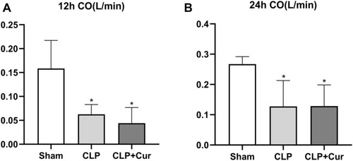 Figure 5 Effects of curcumin on cardiac output at 12h (A) and 24h (B) after CLP. At 12h and 24h after CLP, CO was decreased compared with the sham group. Curcumin had no effect on the decrease of CO at either time point. *P < 0.05 compared with sham; #P < 0.05 compared with CLP (n = 8 per group).