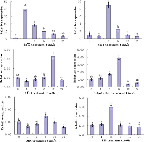 Figure 6. Expression of ZmERD2 gene in maize seedlings under various types of stress. Different letters indicate significant differences at P < 0.05.