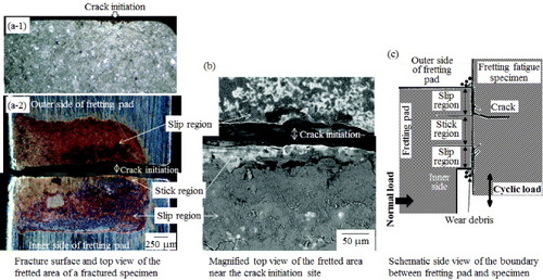 Figure 11. Optical micrographs of the fracture surface and fretted area of HNS in air, σa = 275 MPa, Nf = 3.88 × 106 (a), backscattered electron microscopy image of the fretted area near the crack initiation site of (a-2), (b), and schematic drawing of a fretted specimen (c).