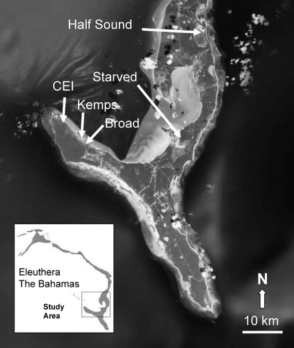 Figure 1. Aerial photograph of the study area showing the locations of the tidal creeks (Kemps, Broad, and Starved) and the tidal embayment (Half Sound) as well as the Cape Eleuthera Institute (CEI)