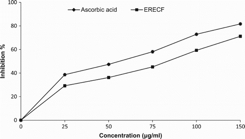 Figure 1. 1,1-Diphenyl-2-picrylhydrazyl (DPPH) radical scavenging activity of ethanolic root extract of Coleus forskohlii (ERECF) and standard antioxidant compound, ascorbic acid.