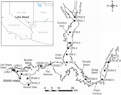Figure 1 Lake Mead, Nevada, including all main inflows, outflows, and basins. Solid circles represent monitoring stations (CR = Colorado River, LVB = Las Vegas Bay, VR = Virgin River).