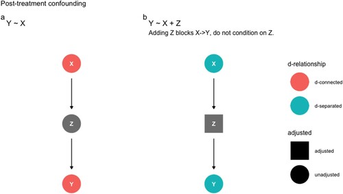 Figure 2. (a) Z fully mediates the relationship between X and Y. In this scenario, taken in isolation, X and Y are correlated. (b) If we were to include Z in our model, X would be conditionally independent of Y. Adding Z confounds causal inference because we are interested in the causal effect of X on Y. Therefore, to obtain an unbiased causal estimate for the effect of X on Y, we should not include Z in our statistical model.