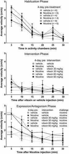 Figure 2. Antagonism of the expression of nicotine locomotor expression by vitexin. Rats were treated once/day for 4 days with 0.4 mg/kg nicotine or vehicle (water). At the end of the habituation phase, each rat was injected with either the intervention, vitexin or vehicle (DMSO: Tween-80: saline) and their activity measured for another 30 min (middle panel). Immediately following, in the expression and antagonism phase, each rats was given the challenge dose of 0.4 mg/kg nicotine s.c. and their activity recorded for another 60 min to assess sensitization and antagonism by vitexin (bottom panel). Only the first 30 min of the last phase is shown since there was little change in activity in any group after the first 15 min and no significant differences between groups after 10 min. Data shown are mean ± SEM for average velocity over each 5-min period. **p < 0.01, ****p < 0.0001 versus vehicle–vehicle–nicotine (control) group, and xp < 0.05, xxp < 0.01, xxxp < 0.001 versus nicotine–vehicle–vehicle (nicotine-sensitized) group by 2-way ANOVA (time vs. treatment) followed by Tukey’s multiple comparisons test.