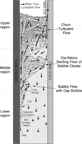Figure 1. Illustration of Downcomer boiling two-phase flow characteristics [4].