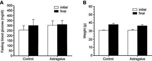 Figure 1 Effect of astragalus on fasting blood-glucose (A) and body-weight (B) levels in type 2 diabetes mice. Values represent mean ± SE (n=5).