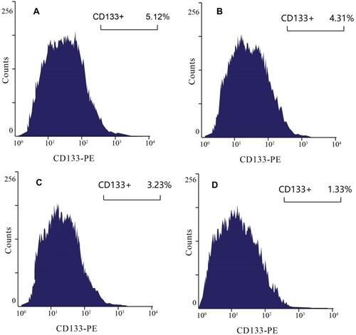 Figure 6 Flow cytometry analysis of the CD133+ population. The CD133+ population in DU145 cells was analyzed by flow cytometry with PE-CD133+ antibody. (A) 5.12% CD133+ cells were detected among untreated DU145 cells. (B) 4.31% CD133+ cells were detected in free CUR treated cells. (C) 3.23% CD133+ cells were detected in DU145 cells treated with CUR LPs. (D) 1.33% CD133+ cells were detected in DU145 cells treated with A15-CUR LPs.