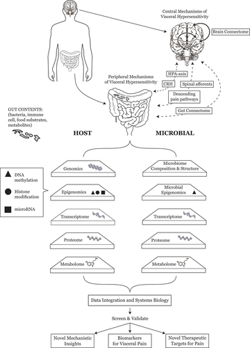 Figure 1. Conceptual model of multi-omics approaches for biomarker discovery in abdominal pain and irritable bowel syndrome (CRH = corticotrophin-releasing hormone; HPA = hypothalamic-pituitary-adrenal).