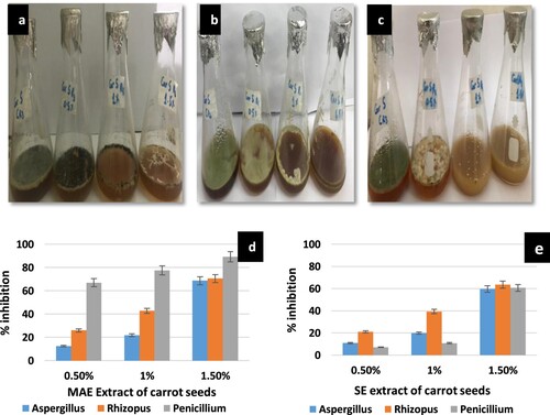 Figure 6. percent growth inhibition of MAE extract of carrot seeds against (a) Aspergillus niger (b) Penicillium chrysogenum (c) Rhizopus stolonifera (d) Antifungal activity of MAE extract (e) Antifungal activity of Soxhlet extract.