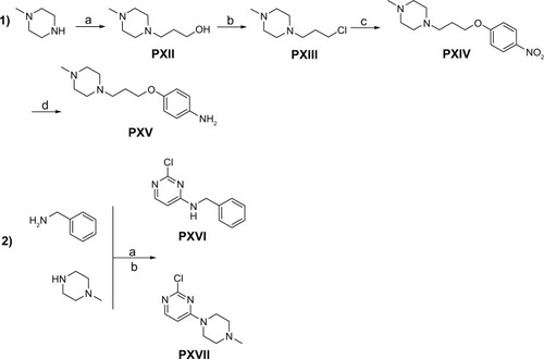 Figure 3 Synthesis of precursors PXII–PXVII.