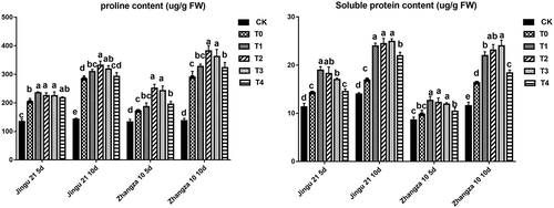 Figure 3. Effects of humic acid (HA) on the contents of free proline (left) and soluble proteins (right) of Zhangza 10 and Jingu 21 penultimate leaves under drought stress.