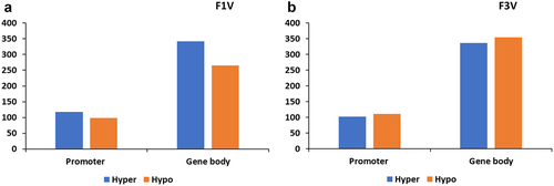 Figure 1. Number of methylated genes in vertebrae. Number of genes with differential methylation region on promoter and gene body in the vertebrae of F1 (a) and F3 (b).