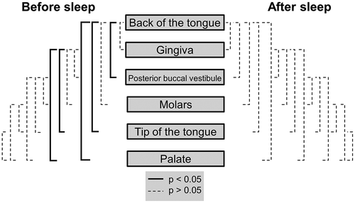 Figure 4. Mann-Whitney U tests for VLP heterogeneity in the oral cavity before and after sleep. Significant differences between locations are represented by the solid black lines (p < 0.05). Non-significant differences are represented by the dashed black lines (p > 0.05). Mann-Whitney U test comparisons have been corrected for false discovery rates